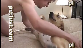 dog sex, female
